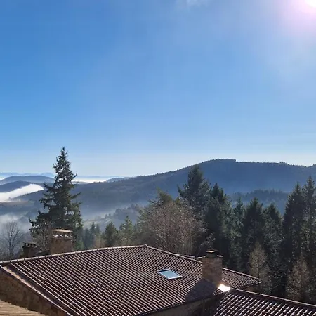 Hébergement de vacances Domaine Le Bouissou Du Mahun De Groupes En Pleine Foret Ardechoise