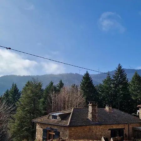 Domaine Le Bouissou Du Mahun De Groupes En Pleine Foret Ardechoise